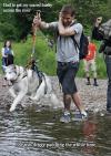 Dog - Had to get my scare husky across the river 